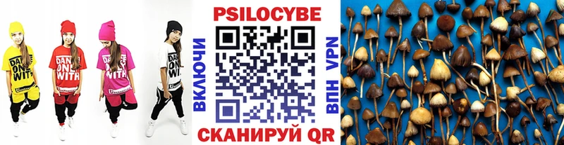 Галлюциногенные грибы Magic Shrooms Инсар